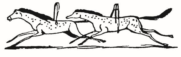 Большая книга чепухи - i_126.jpg