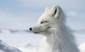 Регрессор в СССР. Цикл (СИ) - Doz3_58.jpg