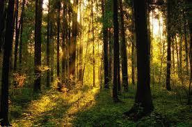 Регрессор в СССР. Цикл (СИ) - Doz4_20.jpg