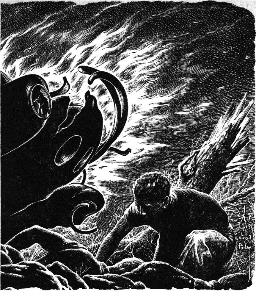 Вопрос идентификации (ЛП) - i_002.jpg