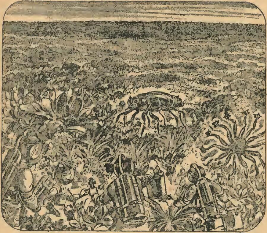 На астероиде (ЛП) - _21.jpg