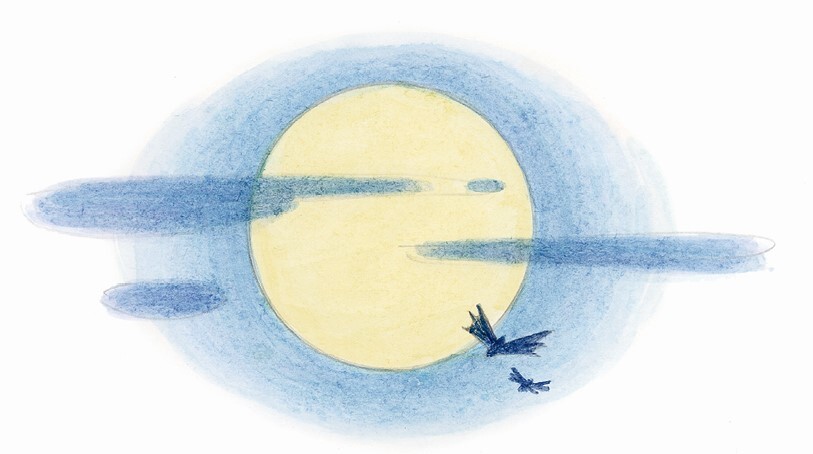 «Фантазёры» и другие рассказы - i_008.jpg