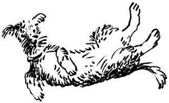 Про все крутые времена года классные стихи - i_027.jpg