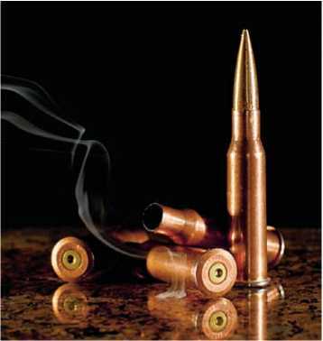 Политическая коррупция в Третьем рейхе - i_116.jpg