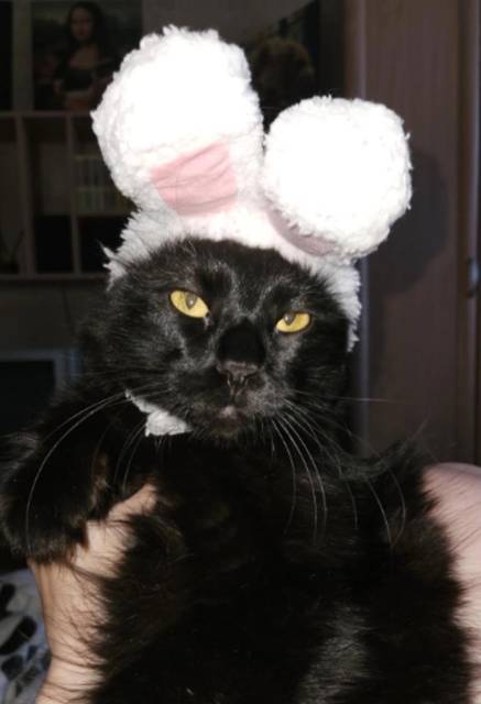 "Фантастика 2025-178". Компиляция. Книги 1-19 (СИ) - i_007.jpg