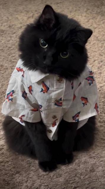 "Фантастика 2025-178". Компиляция. Книги 1-19 (СИ) - i_011.jpg