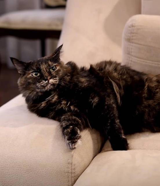 "Фантастика 2025-178". Компиляция. Книги 1-19 (СИ) - i_012.jpg