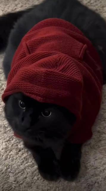 "Фантастика 2025-178". Компиляция. Книги 1-19 (СИ) - i_017.jpg