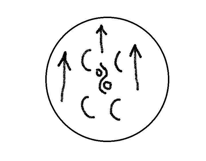 "Фантастика 2025-178". Компиляция. Книги 1-19 (СИ) - i_021.jpg