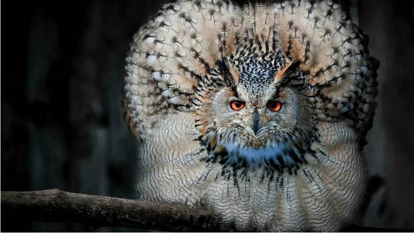 "Фантастика 2025-178". Компиляция. Книги 1-19 (СИ) - i_027.jpg