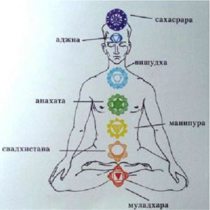 Капсула бессмертия - i_030.jpg