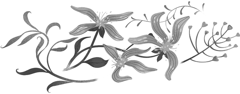 Тайна трех зеркал - i_001.png