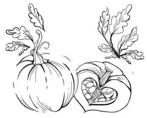 Исчезновение в седых холмах - i_001.jpg