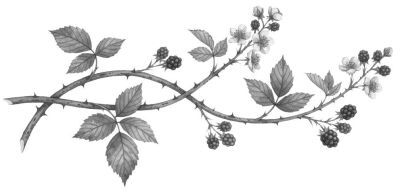 Потусторонние истории - i_002.jpg