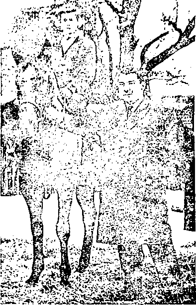 Криминальная психология - i_005.png