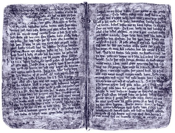 Мифология викингов. От кошек Фрейи и яблок Идунн до мировой бездны и «Сумерек богов» - i_007.jpg