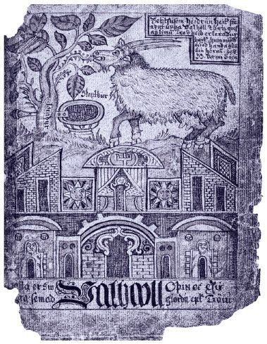 Мифология викингов. От кошек Фрейи и яблок Идунн до мировой бездны и «Сумерек богов» - i_019.jpg