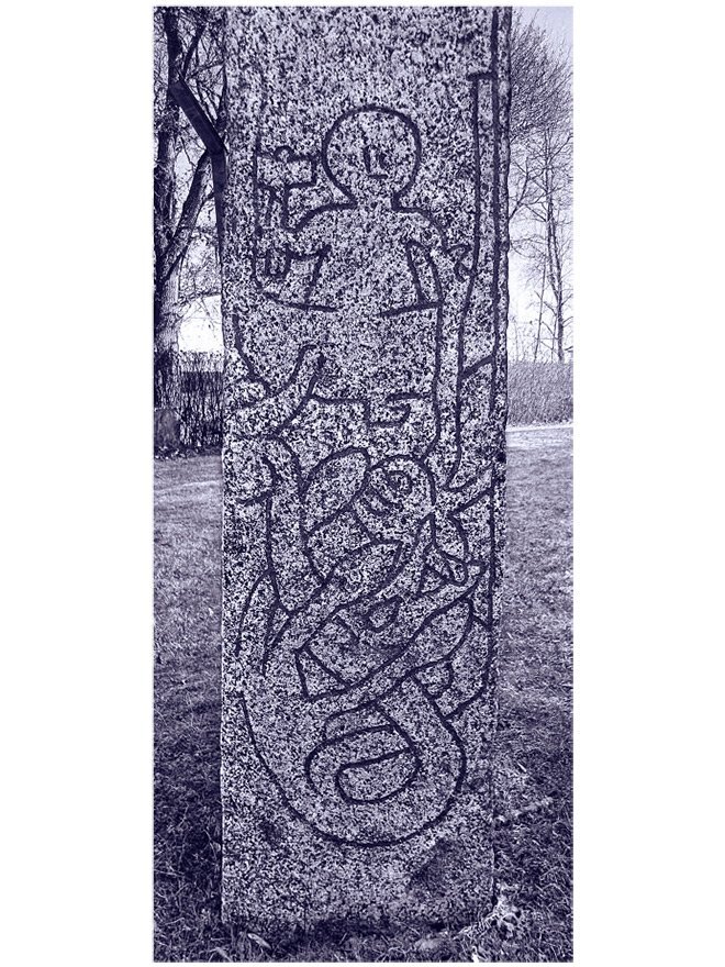 Мифология викингов. От кошек Фрейи и яблок Идунн до мировой бездны и «Сумерек богов» - i_030.jpg