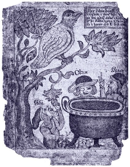 Мифология викингов. От кошек Фрейи и яблок Идунн до мировой бездны и «Сумерек богов» - i_034.jpg