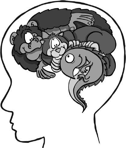 Как использовать возможности мозга. Для тех, кто хочет все успеть - i_007.jpg