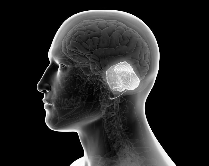 Как использовать возможности мозга. Для тех, кто хочет все успеть - i_009.jpg