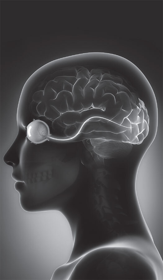Как использовать возможности мозга. Для тех, кто хочет все успеть - i_015.jpg