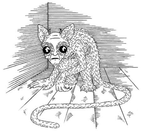 Сновичи - i_004.jpg