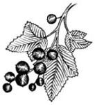 Сновичи - i_006.jpg