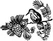 Пробуждение - _005.jpg