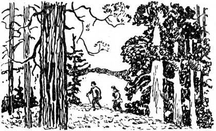 Пробуждение - _006.jpg