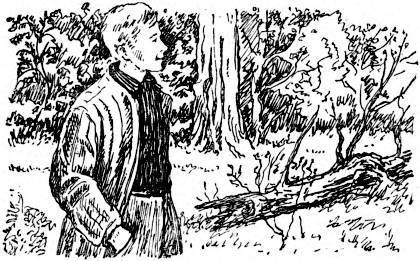 Пробуждение - _007.jpg