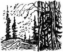 Пробуждение - _008.jpg