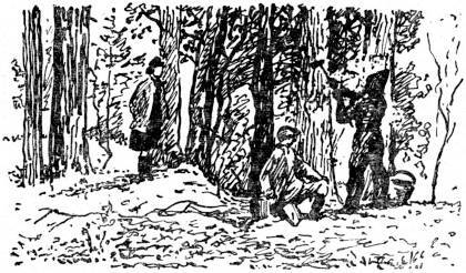 Пробуждение - _009.jpg