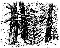 Пробуждение - _013.jpg