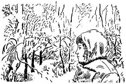 Пробуждение - _015.jpg