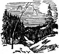 Пробуждение - _018.jpg