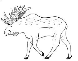 Шанс на счастливый финал - i_003.jpg