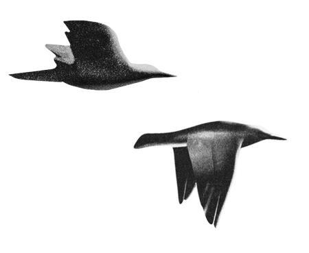 Растворяясь в песках - i_001.jpg