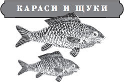 Караси и щуки. Юмористические рассказы - i_001.jpg