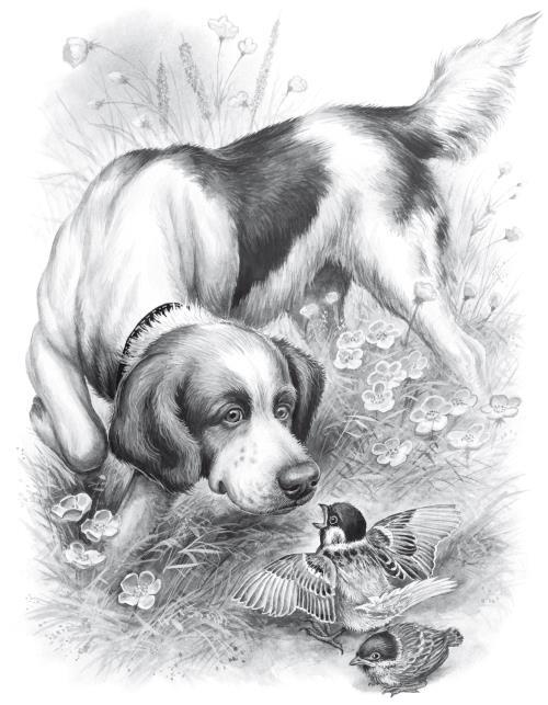 Русские писатели о животных - i_001.jpg