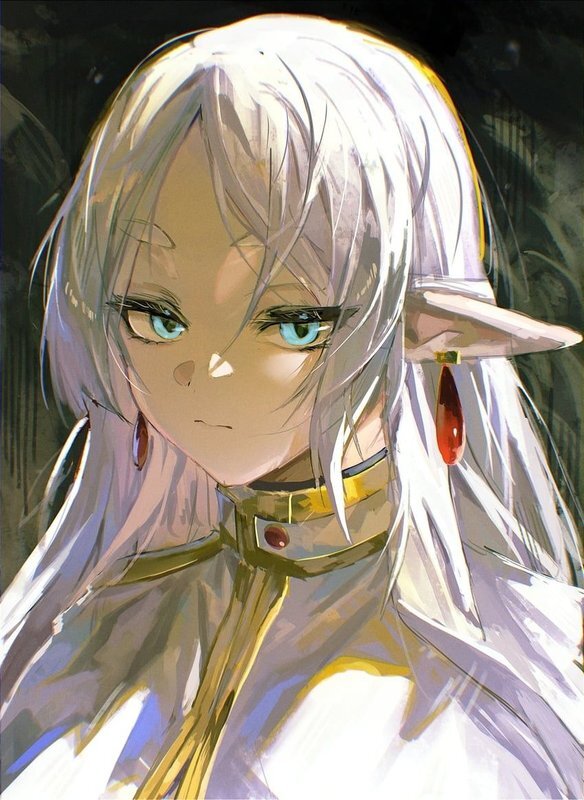 Эльф из Скайрима (СИ) - image282.jpeg