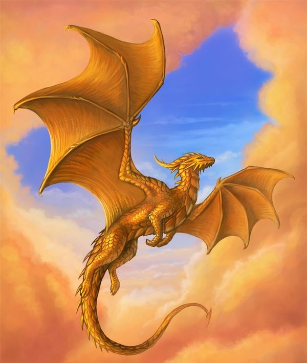 Дракон из Каэр Морхена (СИ) - image2.jpeg