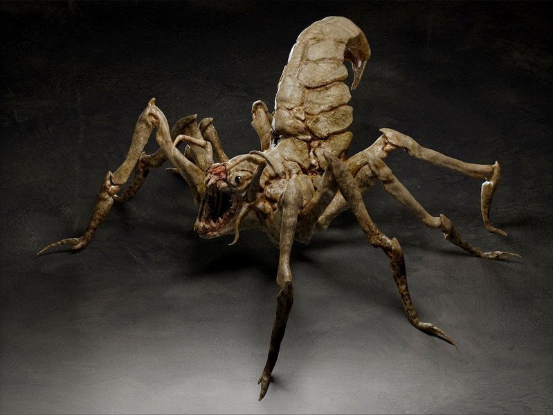 Дракон из Каэр Морхена (СИ) - image40.jpeg