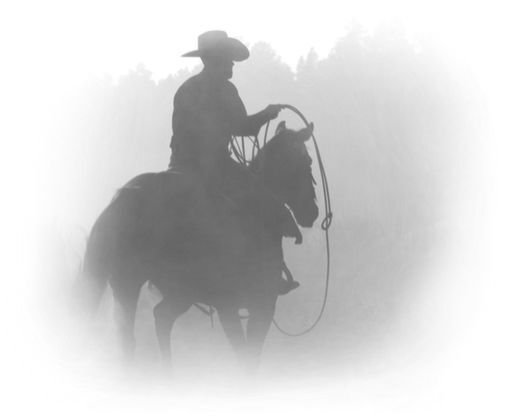 Когда оживает сердце - i_002.jpg