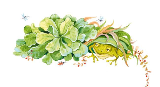 Золотая коллекция сказок - i_004.jpg