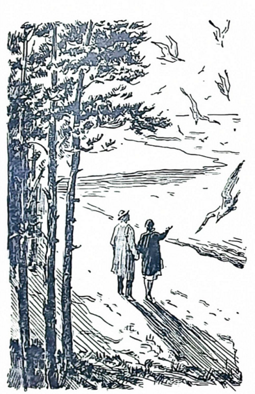 Сыновья профессора - img_9.png