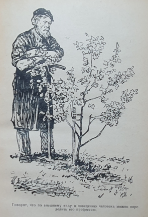 Годы юности - img_4.png