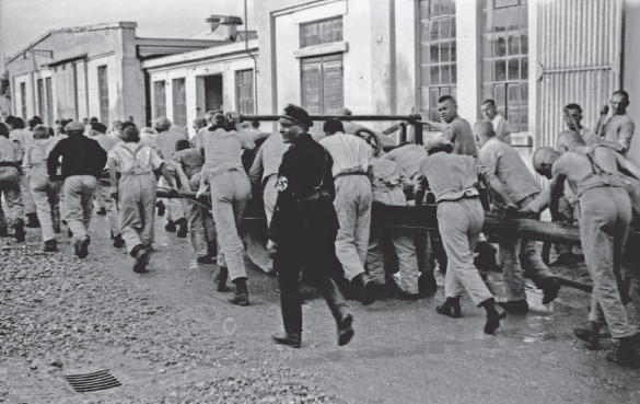 Гестапо. Миф и реальность гитлеровской тайной полиции - i_009.jpg