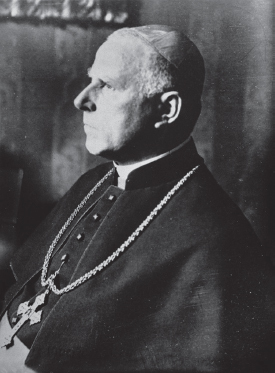 Гестапо. Миф и реальность гитлеровской тайной полиции - i_017.jpg