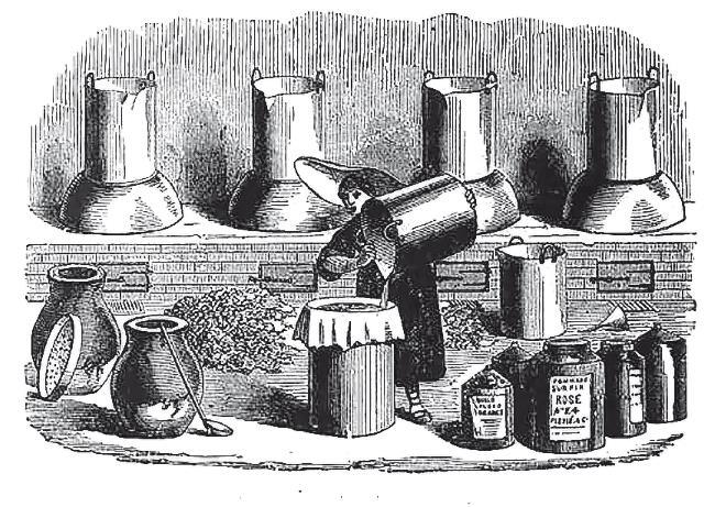 Эликсир. Парижский парфюмерный дом и поиск тайны жизни - i_004.jpg